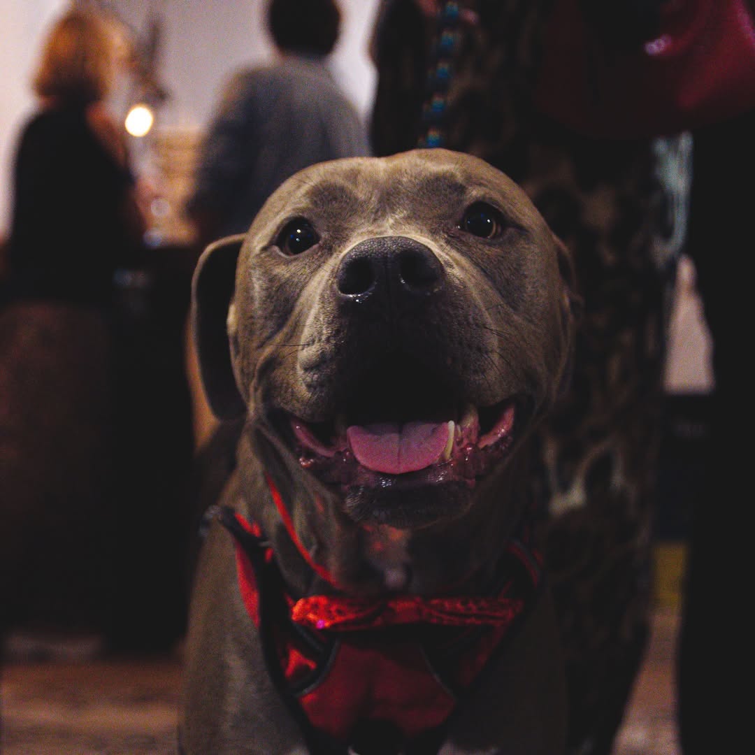 2024-10-05_18-08-45_UTC_10