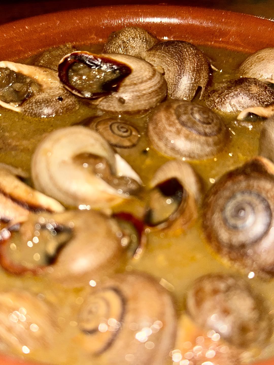 2025-09-15_12-20-35_UTC_2